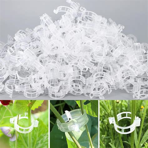 Amazon Pcs Secured Plastic Plant Clip Upgrade Plant