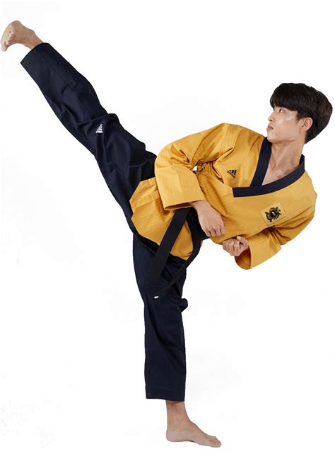 Adidas Taekwondo Premium Poomsae Uniform – All American Martial Arts Supply