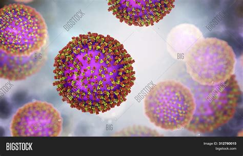 Measles Viruses. 3d Image & Photo (Free Trial) | Bigstock