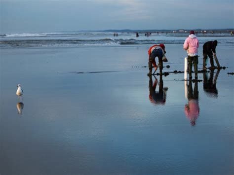 Scenic Wa Best Places To Visit In Washington State Ocean Shores