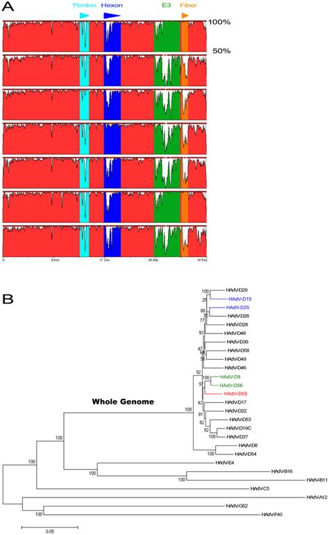 Comparative Genomic Analysis A Pairwise Nucleotide Comparison Of Download Scientific Diagram