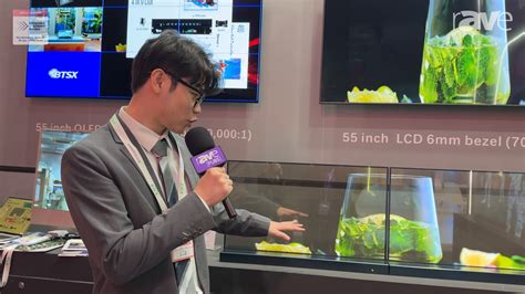 Ise Ceoled Shows Multiple Oled Transparent Desktop Monitors