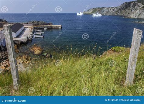 Icebergs in Twillingate Harbor Stock Image - Image of float, harbor ...