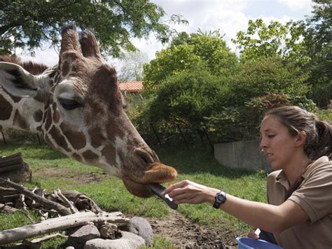 Indianapolis Zoo: Ideal Time to Go + 32 Amazing Animals to See - A-Z ...