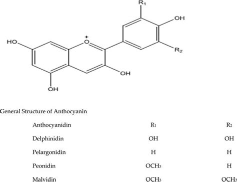 Banana Oil Structure