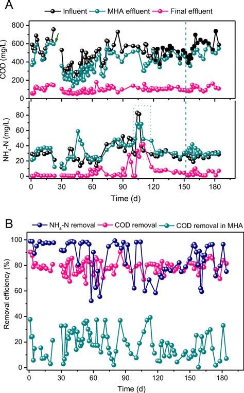 Changes In Cod And Nh N Concentrations In The Influent And Effluent