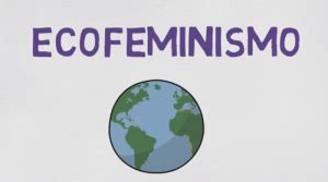 El ecofeminismo como herramienta de transformación Foro Transciones