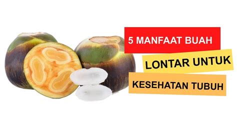 MANFAAT BUAH LONTAR UNTUK KESEHATAN YouTube