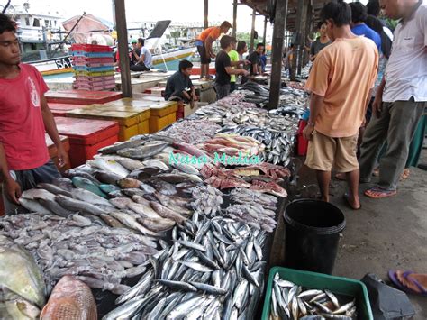 Warna Warni Hidupku Pasar Ikan Di Jeti Nelayan Sempurna