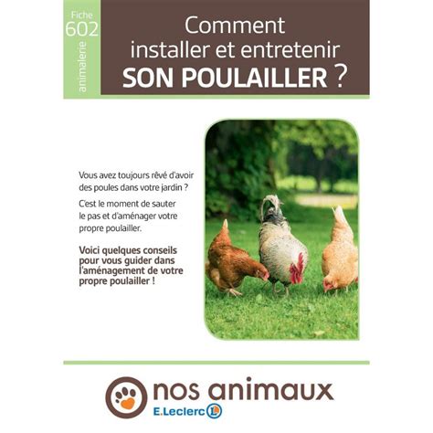 Comment Installer Et Entretenir Son Poulailler