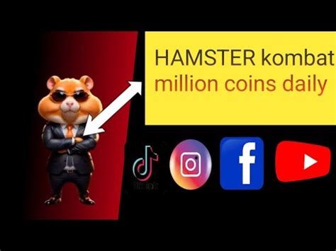 Hamster Kombat Million Coins Daily Profit Per Hour Increase Trick