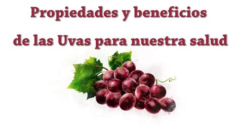 Propiedades Y Beneficios De Las Uvas Para Nuestra Salud 2022 Mr