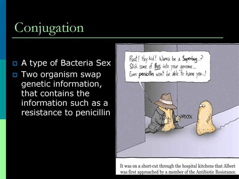 Viruses And Bacteria Ppt Download