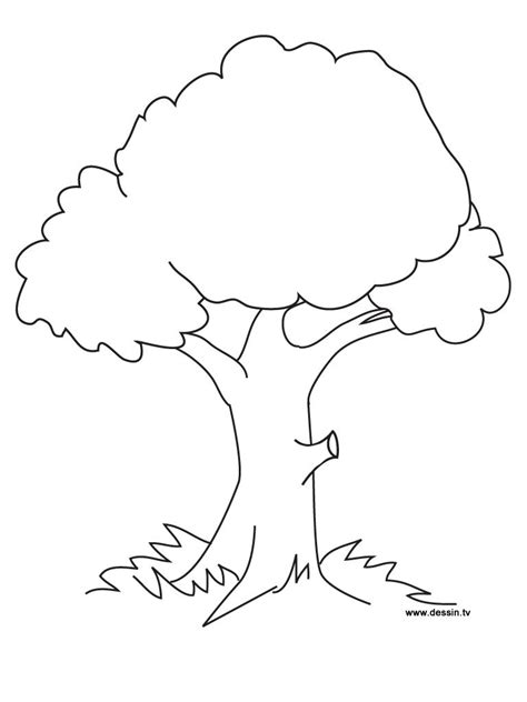 Coloring Pages Trees | Tree coloring page, Flower coloring pages, Apple ...