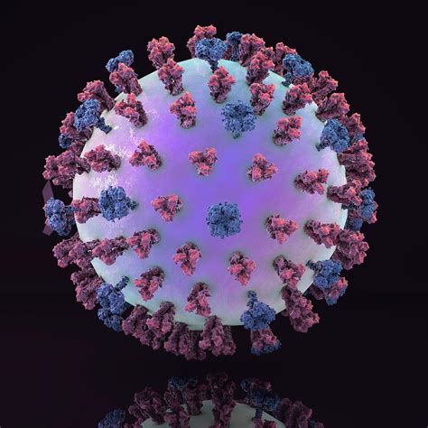 Swine Flu Virus H1n1 1 Photograph By Kateryna Kon Fine Art America