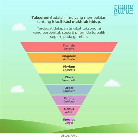 Seperti Apa Sistem Klasifikasi 5 Kingdom Whittaker Biologi Kelas 7