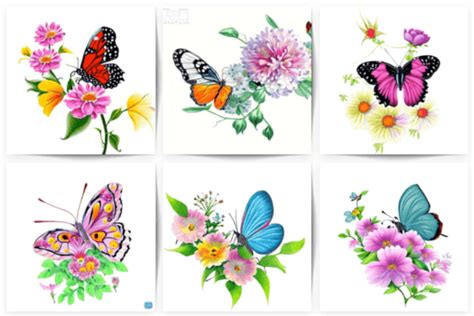 Butterfly Beautiful Collection Graphic By Hassas Arts Creative Fabrica