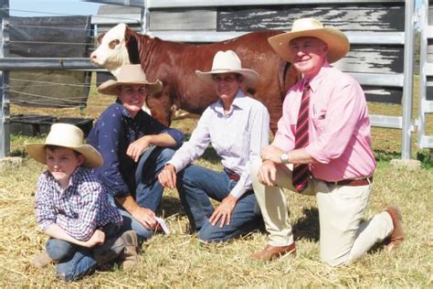 New Dimension Braford Sale Australian Braford Society