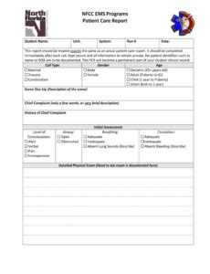 Ems Patient Care Report Narrative Template