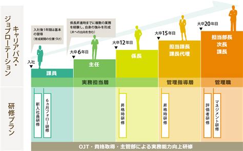 新卒採用社員キャリアパス：採用情報：jr西日本不動産開発株式会社