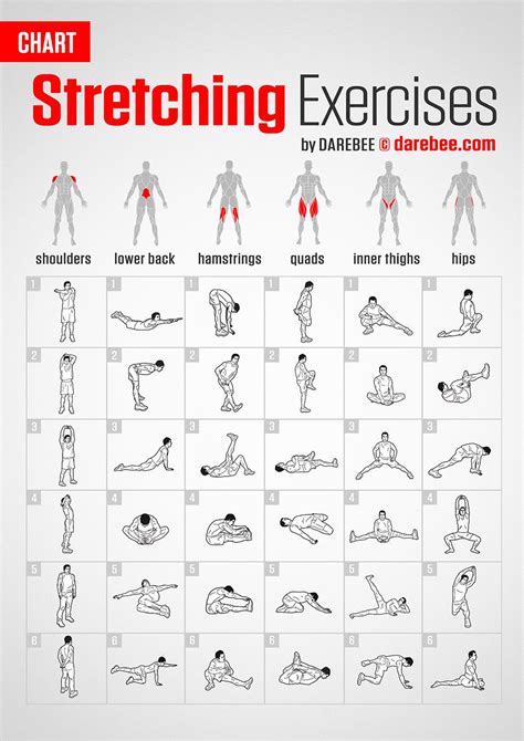 Stretching Exercises | Chart