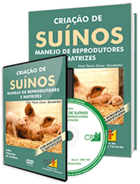 Curso Cria O De Su Nos Em Camas Sobrepostas Suinocultura Cursos A