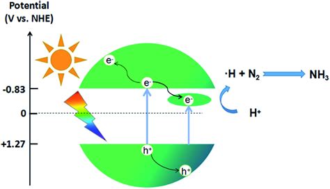 The Proposed Photocatalytic Mechanism For N2 Fixation Over SV In2S3 200