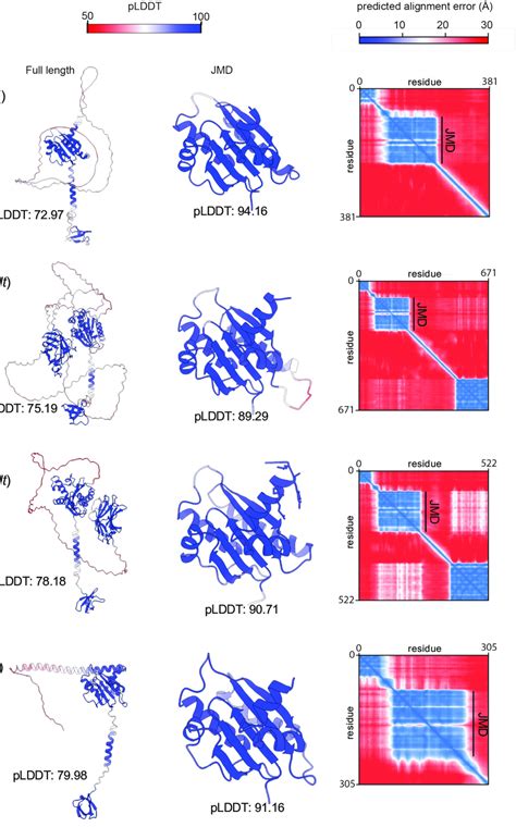 Figure S1 Alphafold2 Confidently Predicts The Juxtamembrane Domain Of Download Scientific