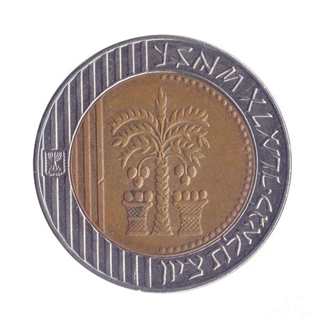 Ten New Israeli Shekel coin e Photograph by Ilan Rosen