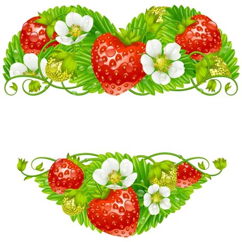 Vector Strawberry Frame Red Berry And White Flower Isolated On