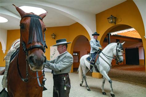 La Real Escuela Andaluza del Arte Ecuestre 50 años de hípica y épica