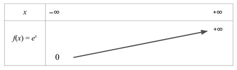 La Fonction Exponentielle Variation Et Représentation Mymaxicours