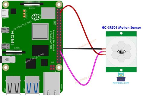 Raspberry Pi Motion Sensor Raspberry Pi Tutorial