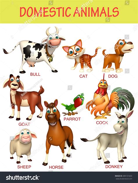 4,210 Domestic Animals Chart Images, Stock Photos, 3D objects ...