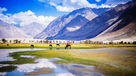 Nubra Valley - History, Things to Do, Location, Best Time to Visit ...