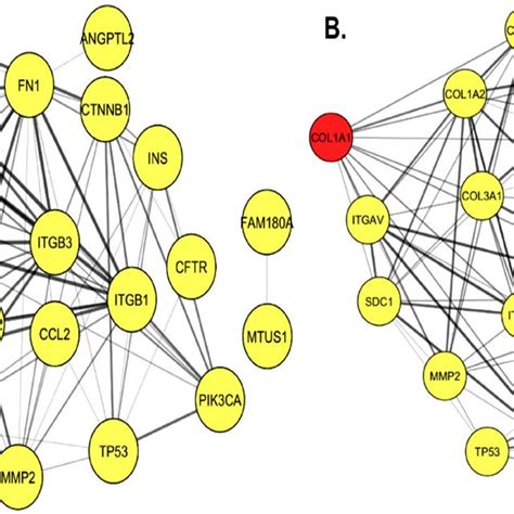 Protein Protein Interaction Ppi Network Construction Of Identified