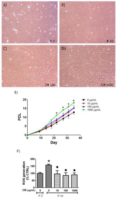 Population Doubling Level Pdl Of Human Umbilical Vein Endothelial