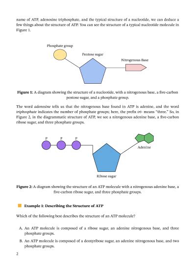 Lesson Energy And Atp Nagwa