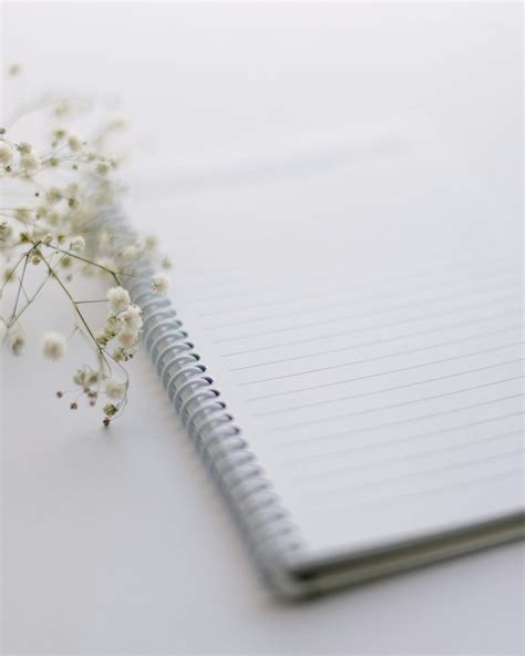 Why Every Writer is a Winner?. And how to enter a state of flow? | by