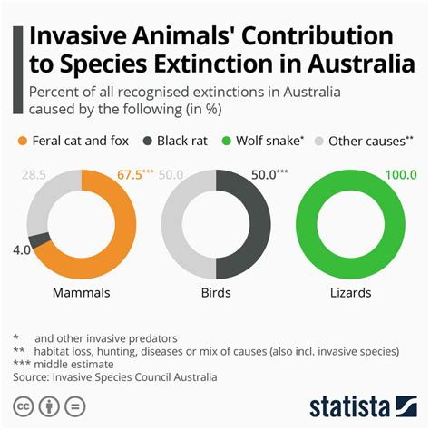 Invasive Animal Species - Geography