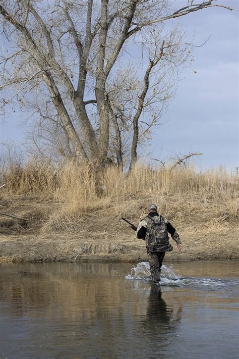 Hunter crossing a river stock photo. Image of wading, trapper - 4205932