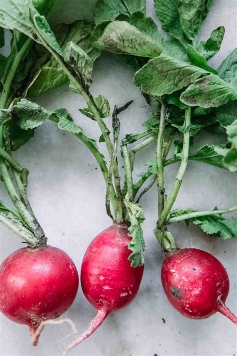 How to Sauté Radish Greens Yes Radish Greens are Edible Delicious