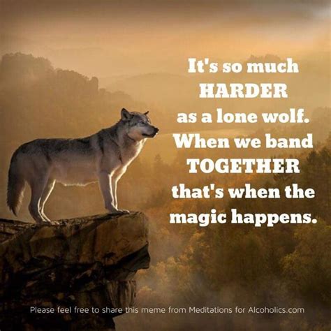 Pin by Barbara Tait on Warrior/Wolf Quotes | Lone wolf quotes, Wolf ...