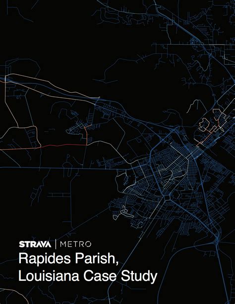 A Complete Guide To Navigating The Rapides Parish Criminal Court Docket For Legal Professionals And Residents 14