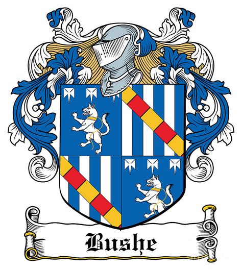 Bushe Coat of Arms Waterford Ireland Digital Art by Heraldry - Pixels