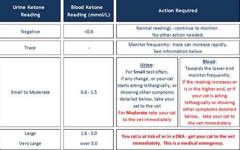 High Ketones In Urine But Not Diabetic - DiabetesWalls