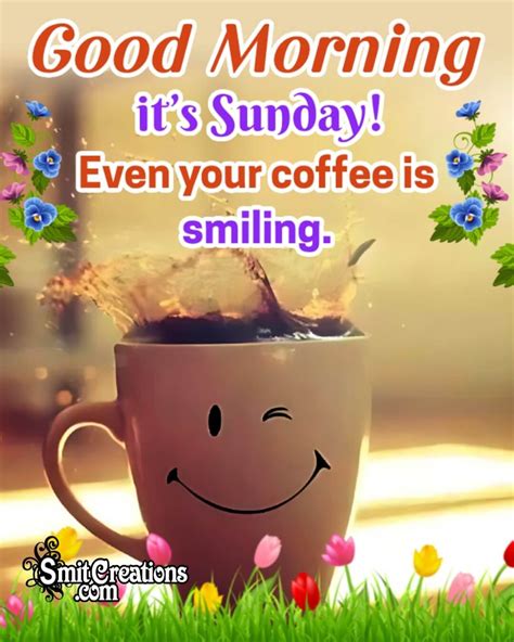 40 Good Morning Happy Sunday Images Smit Creations Your Daily Dose Of Fun