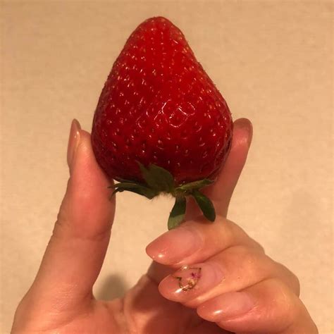 南條早紀さんのインスタグラム写真 南條早紀instagram「いちご🍓 いただいた「よつぼし」 ️ 2017年に登場した新品種です