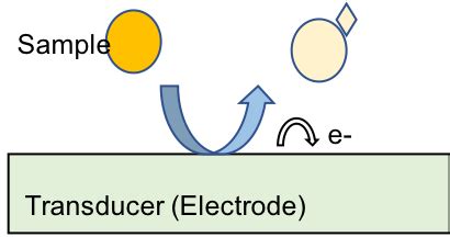 Introduction To Electrochemical Sensors - Chemistry LibreTexts