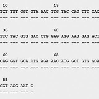 Alignment Of The Sequence Of Exon 3 Of HLADQA1 01 01 10 With The